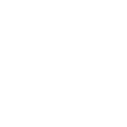 图标